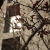 m_sun_l